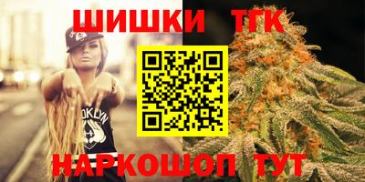 СК Гагарин