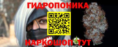 прущая мука Гатчина