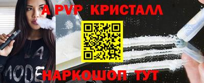 СК Гагарин